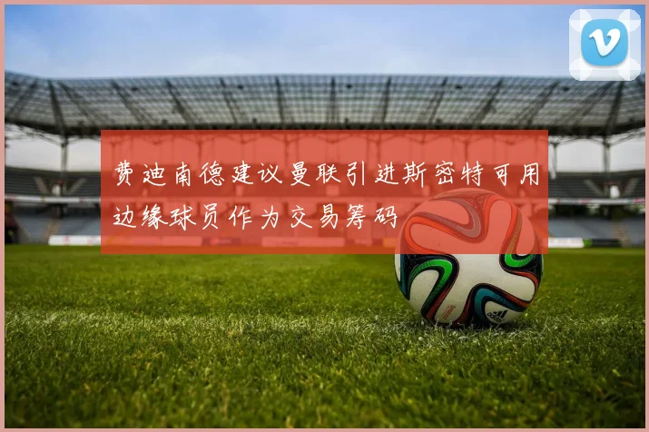 费迪南德建议曼联引进斯密特可用边缘球员作为交易筹码