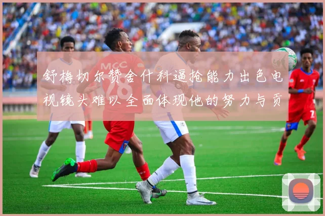 舒梅切尔赞舍什科逼抢能力出色电视镜头难以全面体现他的努力与贡献