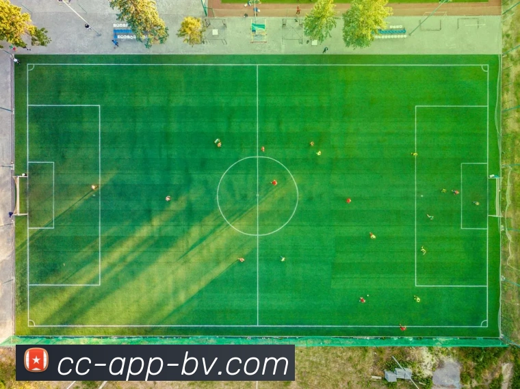 宝威体育APP 封面图